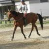 Babie Lato 2016